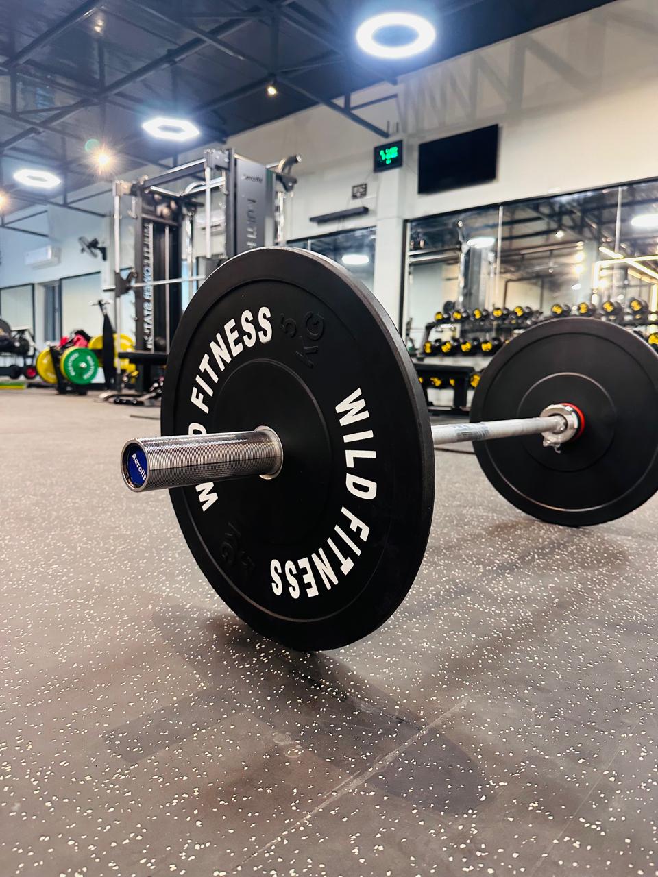 Wild Fitness Studio - Gym