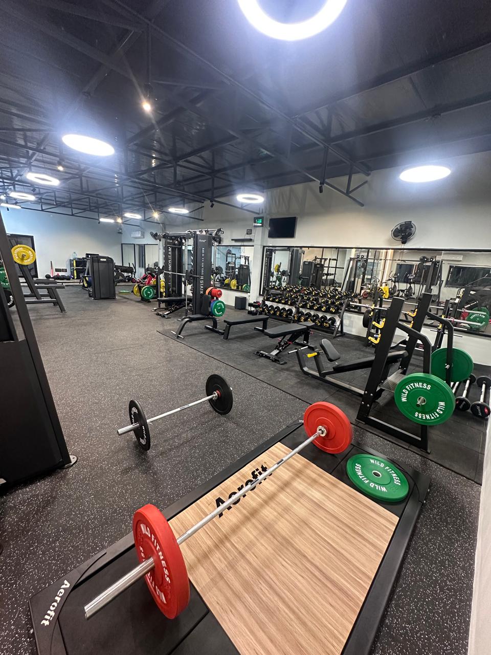 Wild Fitness Studio - Gym