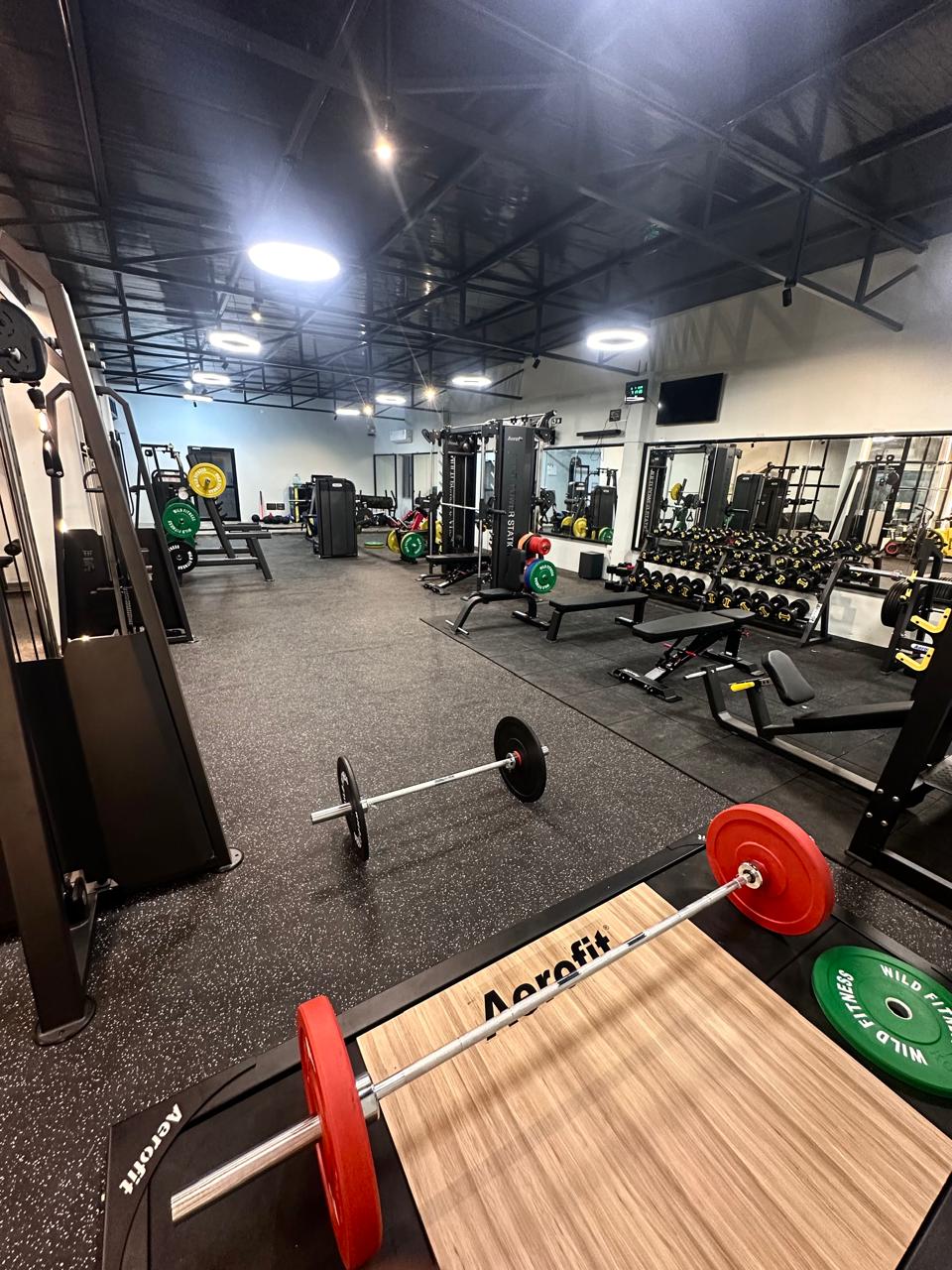 Wild Fitness Studio - Gym