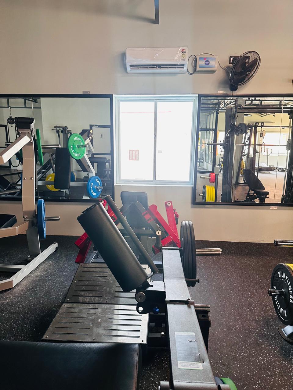 Wild Fitness Studio - Gym