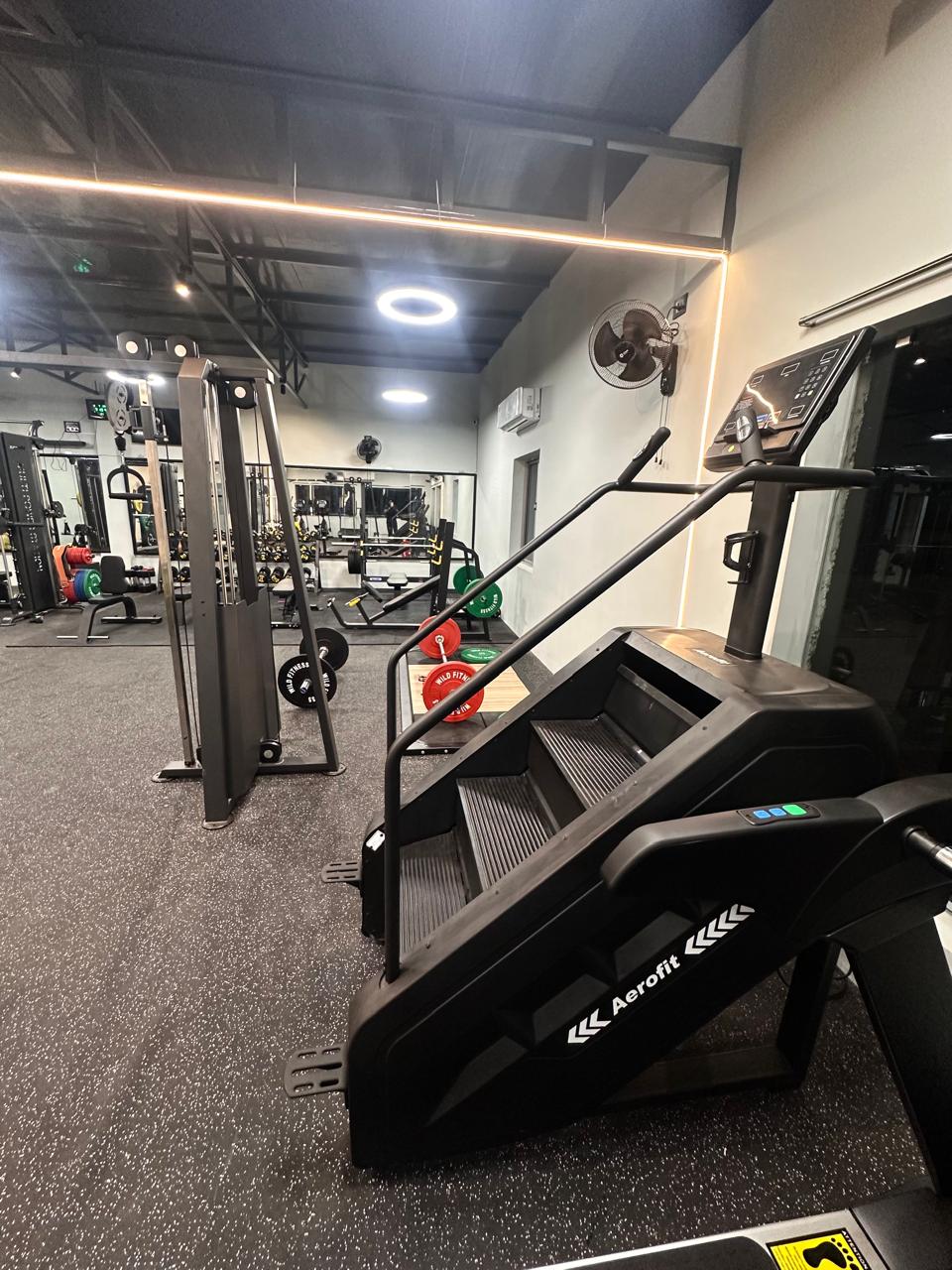 Wild Fitness Studio - Gym